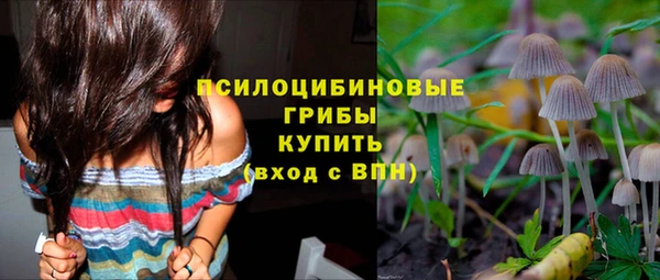 СК Зеленокумск