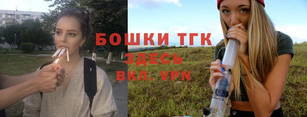 СК Зеленокумск